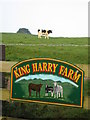 King Harry Farm