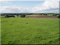 Farmland near Hallington High Farm