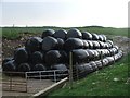 Winter Feed at Tennant Gill Farm.