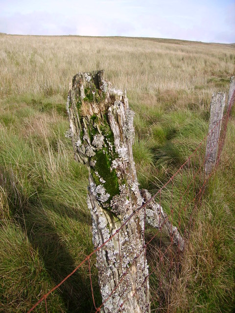 Fence, Crag Hill
