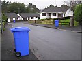 Blue bin day, Omagh