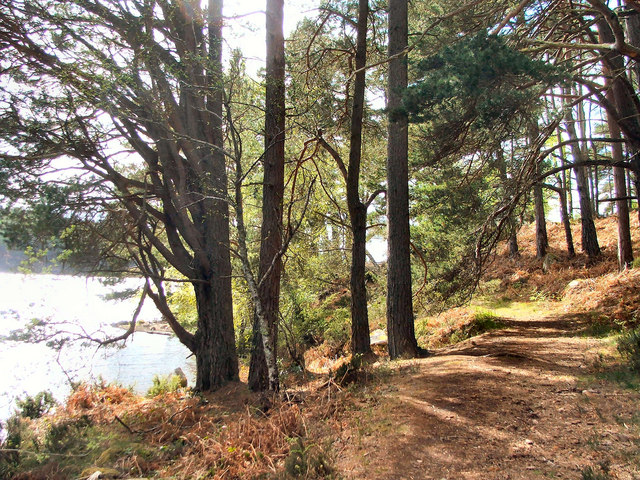 Migdale Loch walk - 2006