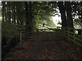 Driveway to Doularg in the Stinchar valley