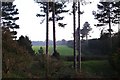 Supposed UFO landing site - Rendlesham Forest