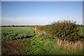 Farmland near Yawthorpe