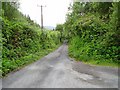 V8956 : Road junction, Glengarriff Forest by Richard Webb
