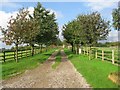 The Western Driveway Of Providence Hill Farm