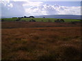 SD7168 : Newby Moor by Michael Graham