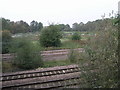 Railway and Allotments