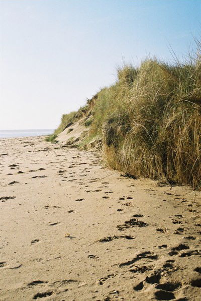 Dunes near Dornoch Point