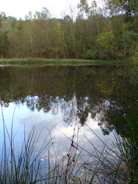 Pond South of Redford