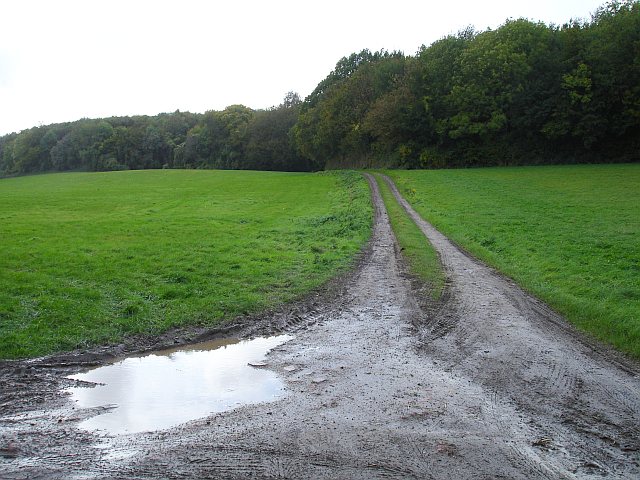 Bridleway into Great Spelty Wood