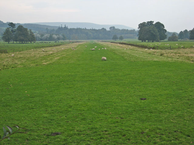 Grass runway on the Kilkerran estate