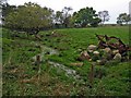 Field at Dyke, near Straiton