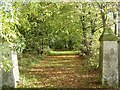 Overgrown entrance to Lochridge