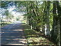 Milestone by B9119  near Drumlasie