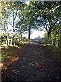 Track to Morningside (L) and Logiealmond Lodge (R)