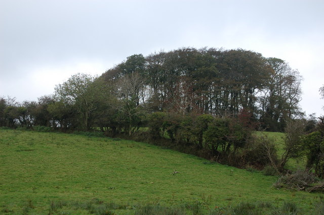 Listullyard fort near Banbridge