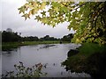 River Test, between Fullerton and Chilbolton