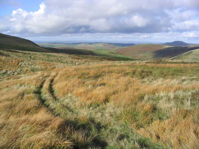 Following a grass track in the Cheviot Hills