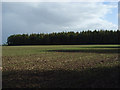 Farmland and Chase Wood