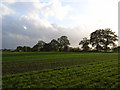 SU2373 : Farmland, Hillwood by Andrew Smith