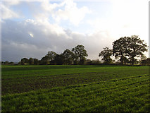 SU2373 : Farmland, Hillwood by Andrew Smith