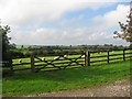 Sheep On Providence Hill Farm