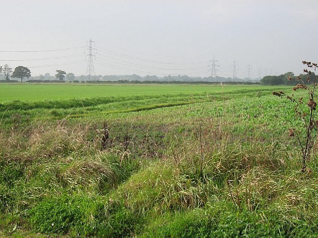 Pylon Crops