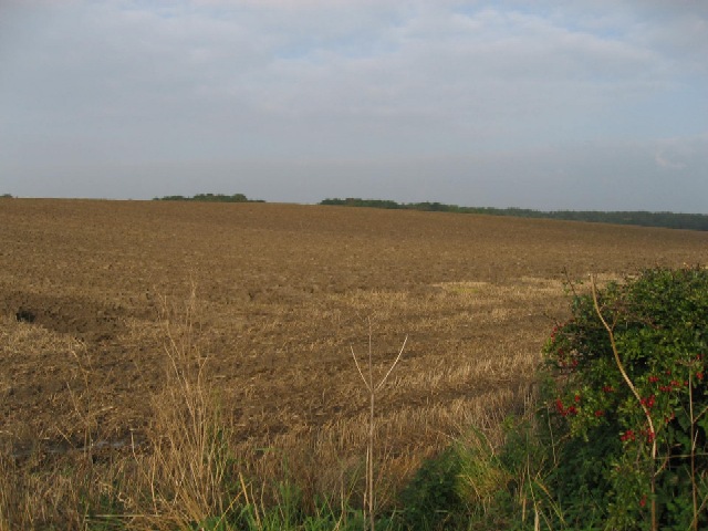 Stubble © Roger Gilbertson Geograph Britain And Ireland