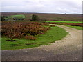 Moorland Bridleway