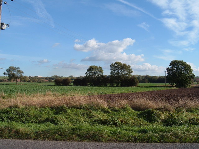 Field on road to Clayworth from Hayton