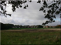 TQ4693 : Hainault Forest and Chigwell Row Common by sarah white
