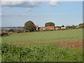 Field Overlooking Hillside House Hayton