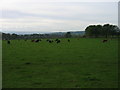 NZ0167 : Farmland near Shildon by Les Hull