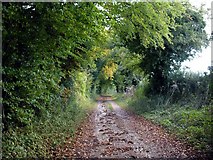 SU4235 : Track leading north west from Hacks Lane, near Crawley by Peter Jordan