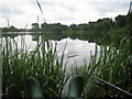 Fishing on Grey Mist Mere, Woolston, Warrington