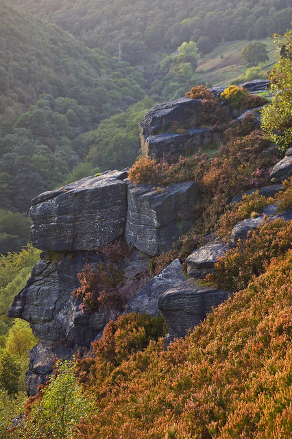 Millstone grit outcrop above the Colden Valley