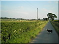 Road to Crosshill Village from Houghton