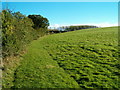 Countryside Path