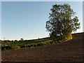 Farmland, Aldbourne