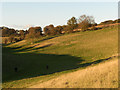 Farmland near Axford