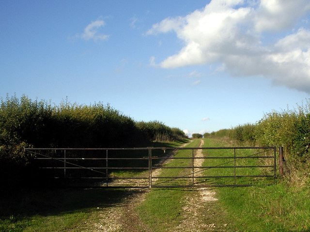 Gated track leads towards Spital Bushes