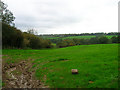 Wealden Landscape near Waldron