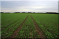 Footpath from Glebe Farm to Bottesford