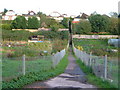 Sweetbrier Lane allotments