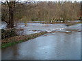 River Petteril Flooded Jan 2005