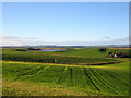 The Meikle Loch