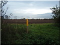 SK7785 : Field off Top Pasture Lane North Wheatley by Diana Staniland