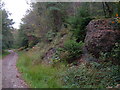 Evidence of mining in Boringdon Park Wood